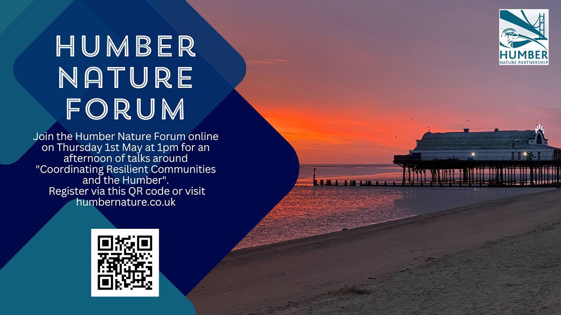 Image of a pier at sunset with the Humber Nature Partnership logo
