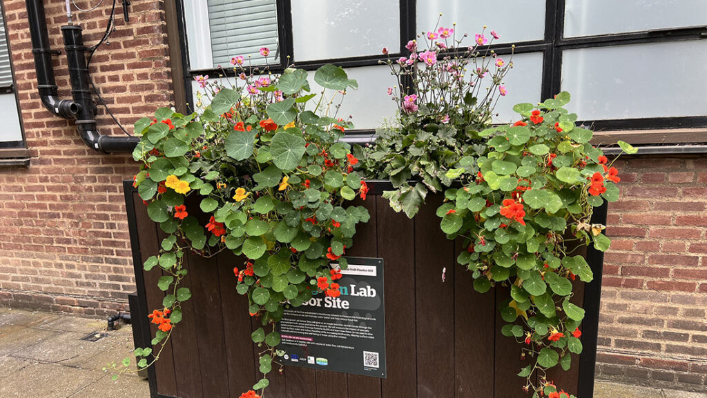 A planter with colourful flowers, connected to drainpipes from the building behind it