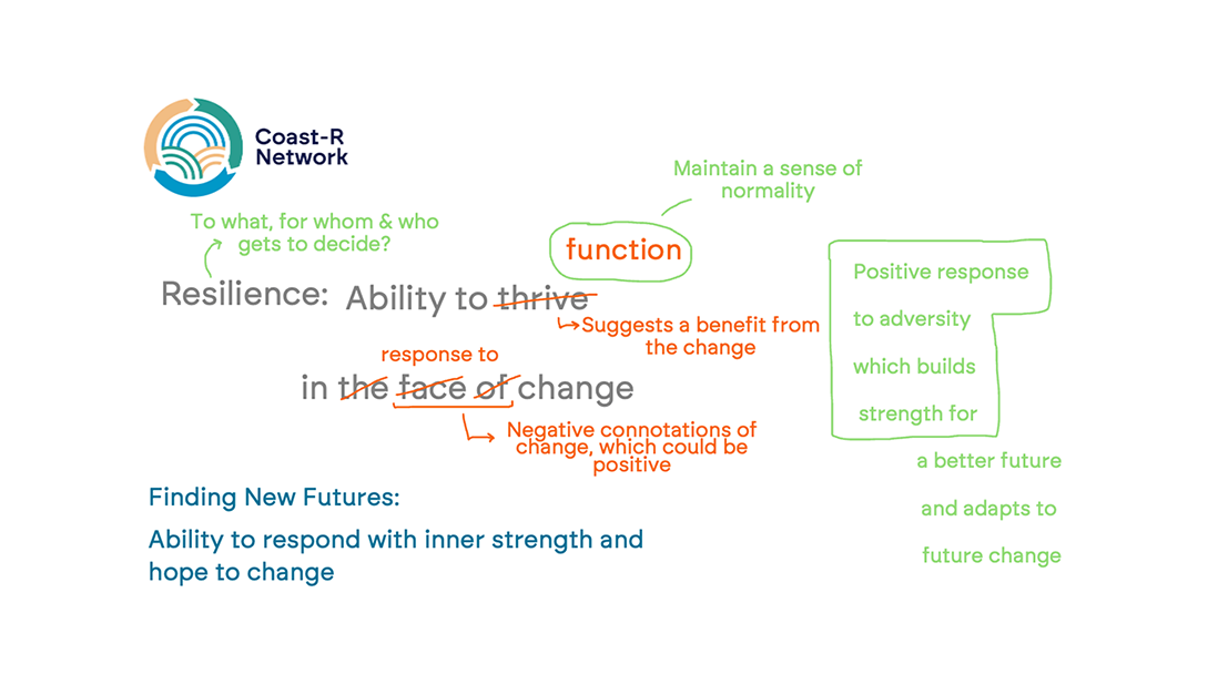 Multi coloured type indicating considerations in making a definition of flood resilience