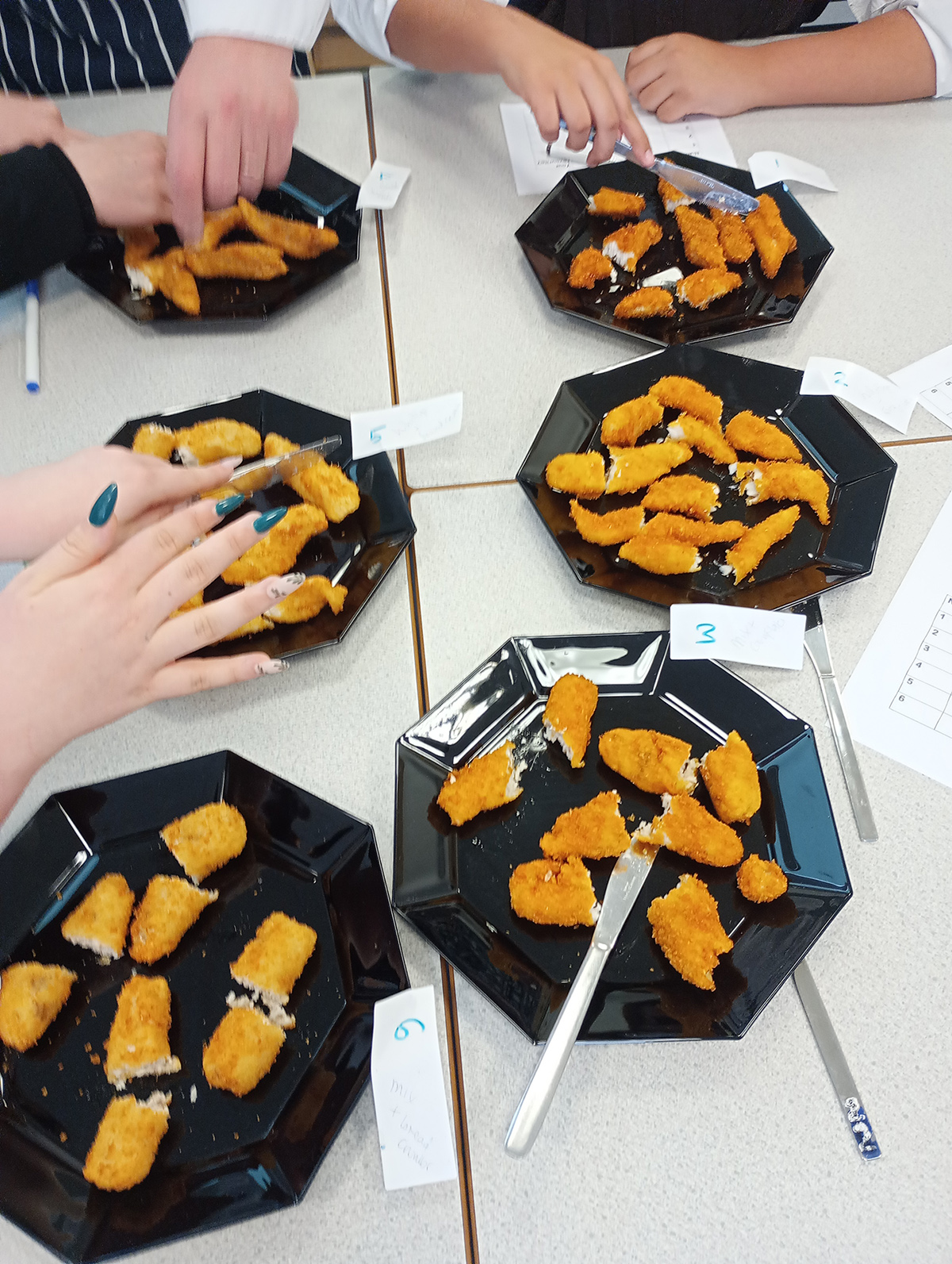 Plymouth FishFInger blog 2 Six plates with pieces of breaded fish laid out as part of a tasting session